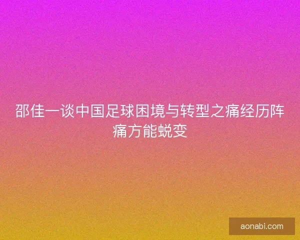 邵佳一谈中国足球困境与转型之痛经历阵痛方能蜕变